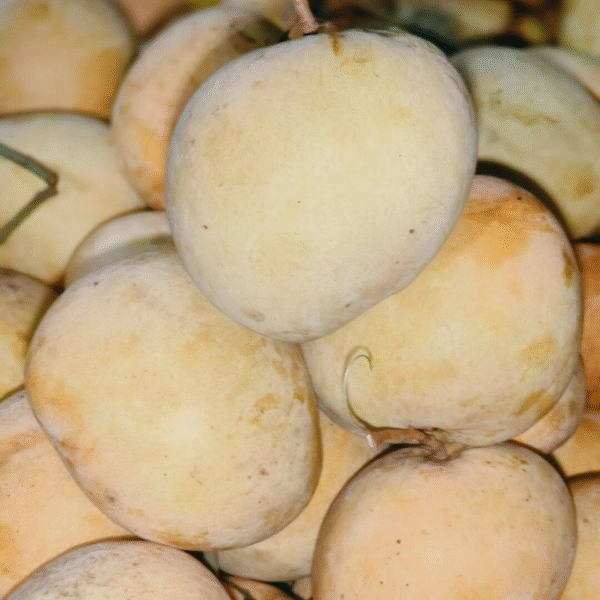 বারিফোর আম - Image 1