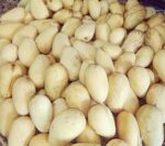 কাটিমন আম (12 কেজি)